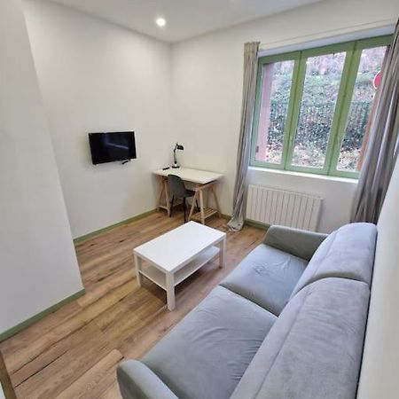 T1 Bis 1 Chambre Saint-Etienne  Exterior foto
