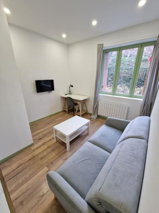 T1 Bis 1 Chambre Saint-Etienne  Exterior foto